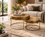Nico Aluminum Coffee Table Set of 2