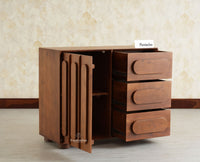 Chicago Solid Wood One  Door Three drawer Storage Cabinet Teak Finish