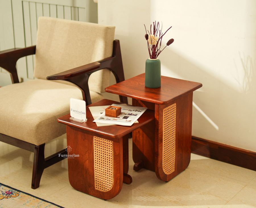 Boston Luma Wooden Multipurpose Side Table Set of Two Brown Finish