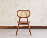 Antilia Solid Wood Dining Chair Set of two - Dining Chair - Furniselan - Maple-Finish
