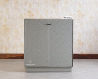 Worli Two Door Multipurpose Wooden Sideboard Cabinet Furniselan - Cool-Grey 