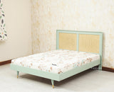 Boston Solid Wood Rattan Cane Queen Size Bed - Queen Size Bed - Furniselan Silt-Green 