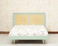 Boston Solid Wood Rattan Cane Queen Size Bed - Queen Size Bed - Furniselan Silt-Green 