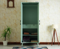Bengaluru Solid Wood Two Door Wardrobe Furniselan silt green