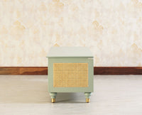 Boston Solid Wood Rattan Storage Trunk Box - Trunks & Cabinets - Furniselan Silt-Green