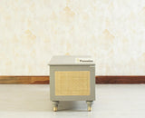 Boston Solid Wood Rattan Storage Trunk Box - Trunks & Cabinets - Furniselan Cool-Grey