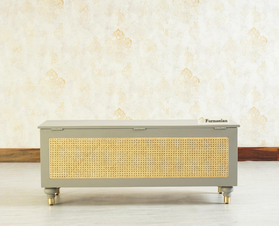 Boston Solid Wood Rattan Storage Trunk Box - Trunks & Cabinets - Furniselan Cool-Grey