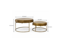 Nico Aluminum Coffee Table Set of 2 - Antique Brass