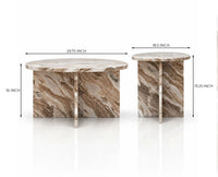 Nyla Sawar Marble Coffee Table Set of 2 - Sawar Marble 