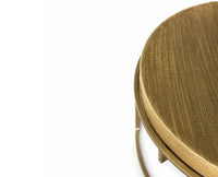 Nico Aluminum Coffee Table Set of 2 - Antique Brass