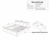 Alexandria Solid Wood Queen Size Bed with Storage Drawer - Furniselan  - Frosty White