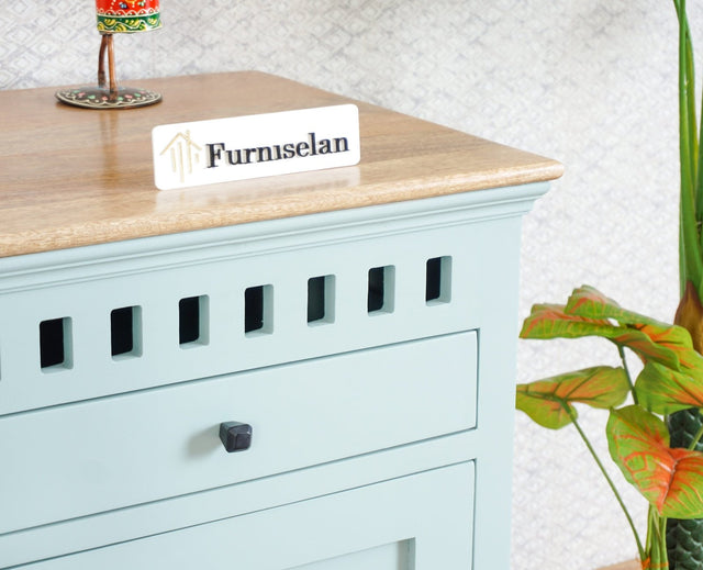 Alexandria Solid Wood Study Table-One Door and one Drawer Furniselan Silt-Green