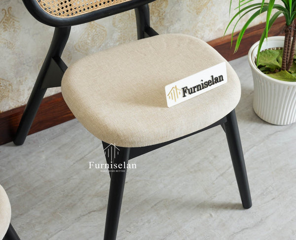 Furniselan