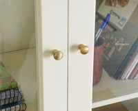 Bengaluru Solid Wood Bookshelf Cabinet four Doors - Bookshelf - Furniselan