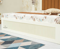 Bengaluru Solid Wood King Size Bed in Storage Box - Furniselan Milky White