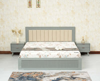 Bengaluru Solid Wood Queen Size Bed in Storage Box - Furniselan Cool Grey
