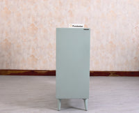 Bengaluru Solid Wood Shoe Rack Cabinet Two Doors and Drawers - Sideboard - Furniselan - Silt-Green