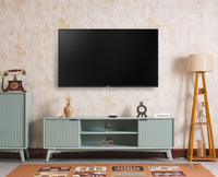 Bengaluru Solid Wood TV Cabinet Two Door Furniselan - Silt-Green