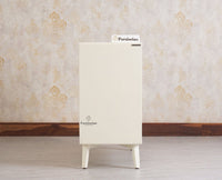 Bengaluru Solid Wood Two Door Cabinet Sideboard - Sideboard - Furniselan