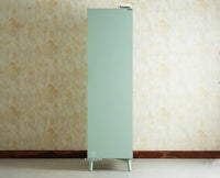 Bengaluru Solid Wood Two Door Wardrobe Furniselan silt green