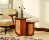 Boston Luma Wooden Multipurpose Side Table Set of Two Brown Finish