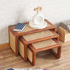 Boston Solid Wood Multipurpose Nesting Table Set of Three Furniselan Brown-Finish