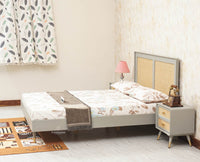 Boston Solid Wood Rattan Cane Queen Size Bed - Queen Size Bed - Furniselan Cool-Grey