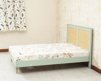 Boston Solid Wood Rattan Cane Queen Size Bed - Queen Size Bed - Furniselan Silt-Green 