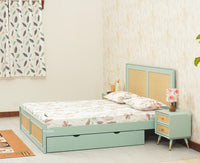 Boston Solid Wood Rattan Cane Queen Size Bed With Storage Drawers - Queen Size Bed - Furniselan Silt-Green