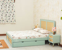 Boston Solid Wood Rattan Cane Queen Size Bed With Storage Drawers - Queen Size Bed - Furniselan Silt-Green