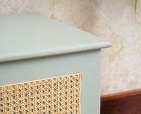 Boston Solid Wood Rattan Storage Trunk Box - Trunks & Cabinets - Furniselan Silt-Green