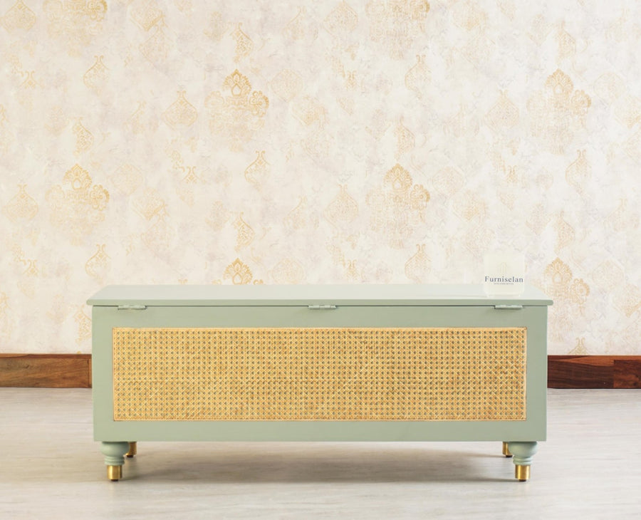 Boston Solid Wood Rattan Storage Trunk Box - Trunks & Cabinets - Furniselan Silt-Green