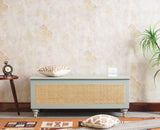 Boston Solid Wood Rattan Storage Trunk Box - Trunks & Cabinets - Furniselan Silt-Green
