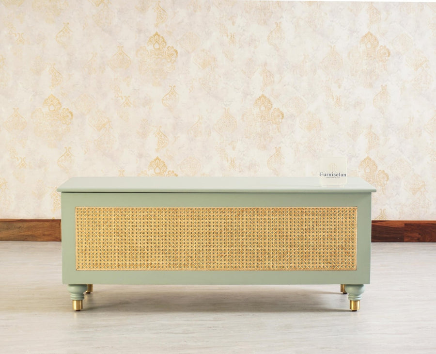 Boston Solid Wood Rattan Storage Trunk Box - Trunks & Cabinets - Furniselan Silt-Green