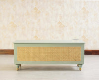 Boston Solid Wood Rattan Storage Trunk Box - Trunks & Cabinets - Furniselan Silt-Green
