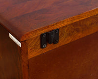 Boston Solid Wood Two Door Wall Shelve Furniselan Brown-Finish
