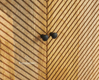 Brussels Wooden Two Door Cabinet Furniselan