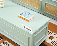 Colva Solid wood Storage Trunk Box - Trunks & Cabinets - Furniselan -Silt-Green