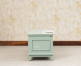 Colva Solid wood Storage Trunk Box - Trunks & Cabinets - Furniselan -Silt-Green