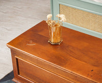 Colva Solid wood Storage Trunk Box - Trunks & Cabinets - Furniselan - Brown-Finish
