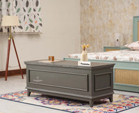 Colva Solid wood Storage Trunk Box - Trunks & Cabinets - Furniselan - Slate-Grey