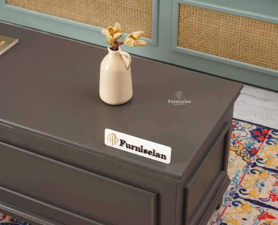 Colva Solid wood Storage Trunk Box - Trunks & Cabinets - Furniselan - Slate-Grey
