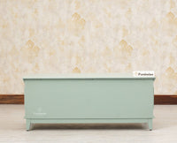 Colva Solid wood Storage Trunk Box - Trunks & Cabinets - Furniselan -Silt-Green