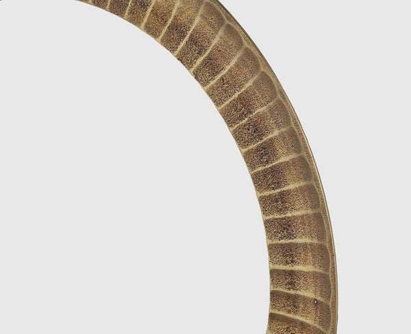 Furniselan