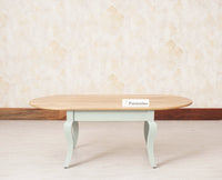 Mumbai Solid Wood Oval Coffee Table - Coffee Table - Furniselan - Silt-Green