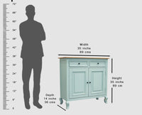 Mumbai Solid Wood Shoe Rack Cabinet Two Doors & Drawers - Sideboard - Furniselan-Silt-Green