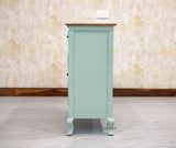 Mumbai Solid Wood Shoe Rack Cabinet Two Doors & Drawers - Sideboard - Furniselan-Silt-Green