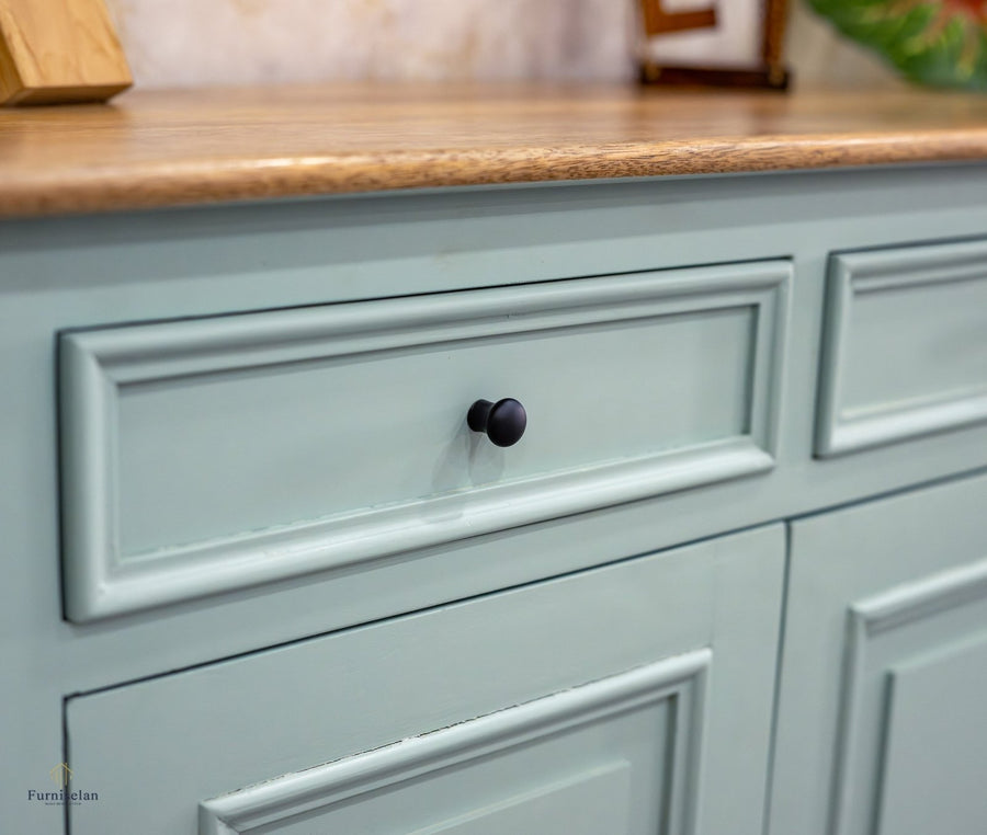 Mumbai Solid Wood Shoe Rack Cabinet Two Doors & Drawers - Sideboard - Furniselan-Silt-Green