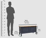 Mumbai Solid Wood Storage Trunk Box - Trunks & Cabinets - Furniselan-
Slate-Grey