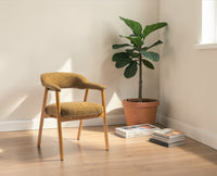 Mustard Beech Wood Dining Chair  – Solid Wood Modern Dining Chair for Home & Restaurant Golden Brown